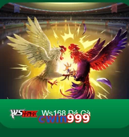 cwin999